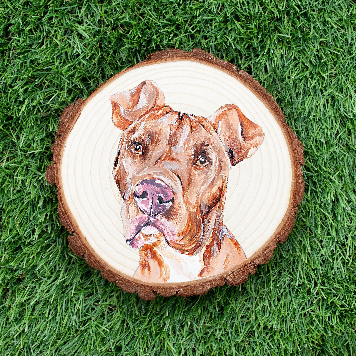 Personalized pet portrait 13-15 cm.