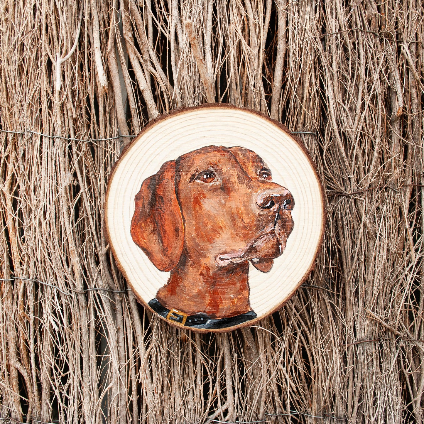 Personalized pet portrait 13-15 cm.